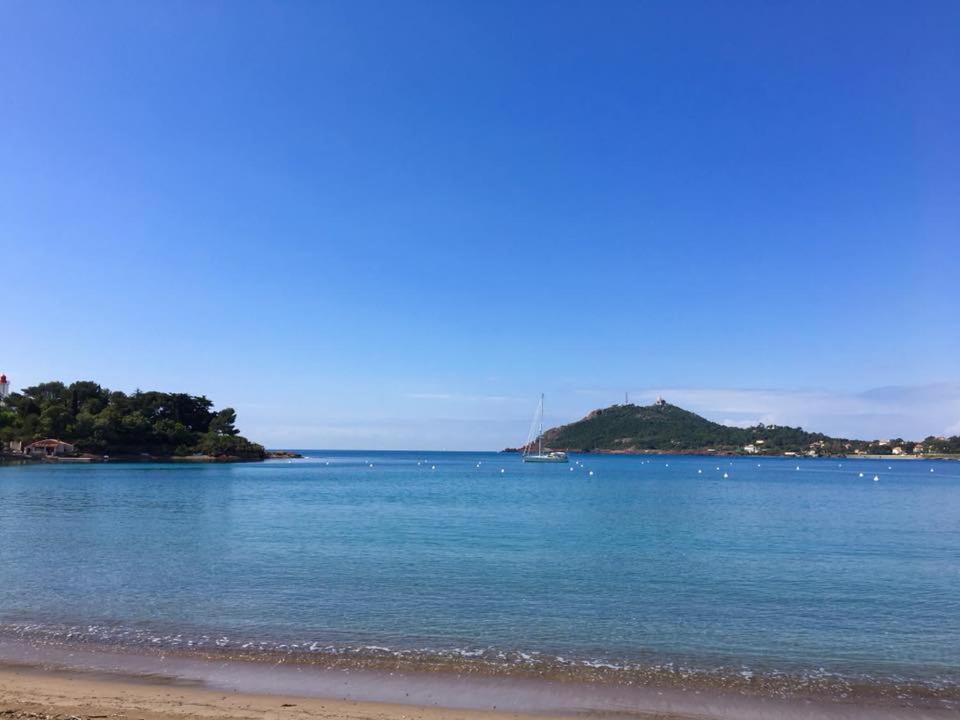 Les Marines D'Agay Studio Climatise Saint-Raphaël Eksteriør billede